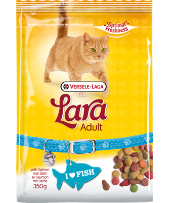 Lara Cat Adult Dry Food with Salmon