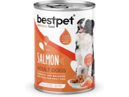 Bestpet Delicious Food – With Salmon for Adult Dogs